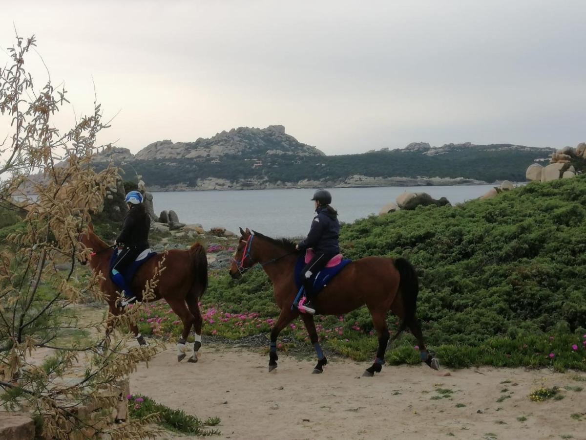 Casa Baia Santa Reparata - Santa Teresa Di Gallura Iun Q1712 ภายนอก รูปภาพ